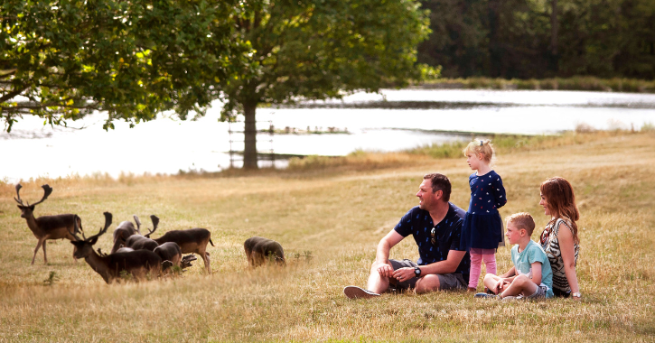 Family of four sat admiring the wild deer at Raby Castle Deer Park